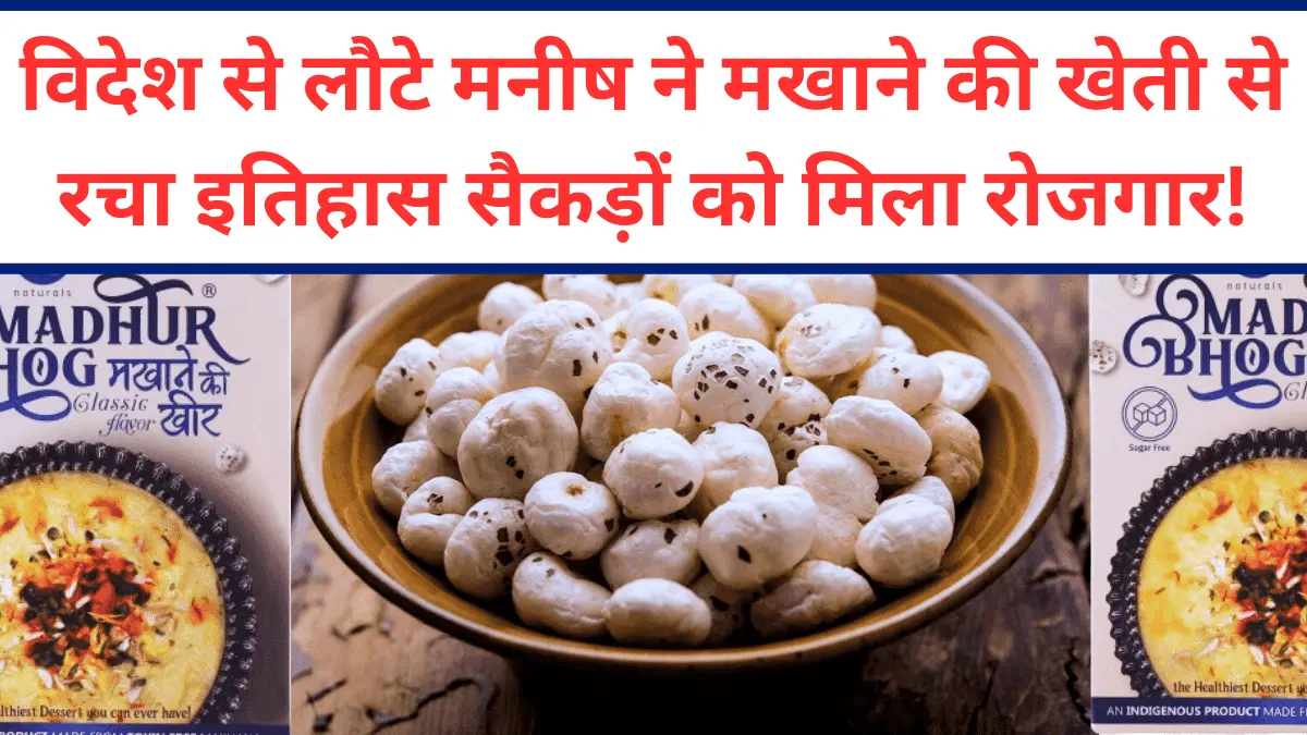 Makhana India food business